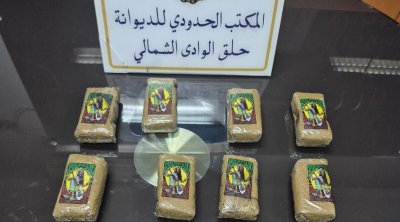 الديوانة التونسية تحجز كميات هامة من المخدرات بميناء حلق الوادي