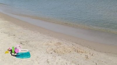 حصان هائج في سليمان يصيب طفلة بجروح خطيرة