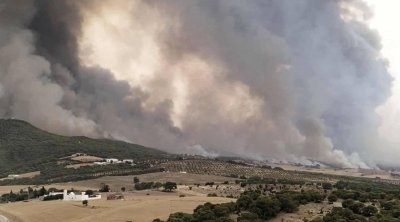 حريق هائل يندلع بجبل منصور في منطقة الفحص من ولاية زغوان