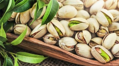 Kasserine : une récolte record de pistaches attendue pour 2024-2025