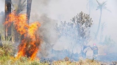 Maroc : deux incendies de forêt dans le nord bientôt maîtrisés