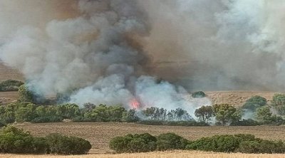 Siliana : L’incendie au Djebel El Frechich à Misrata maitrisé