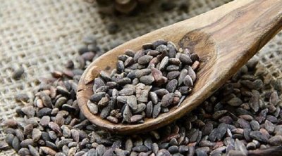 Zgougou 2025 : récolte en baisse et flambée des prix à 53 dinars le kilo
