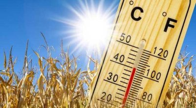 تونس : سحب كثيفة مع أمطار رعدية في بعض المناطق