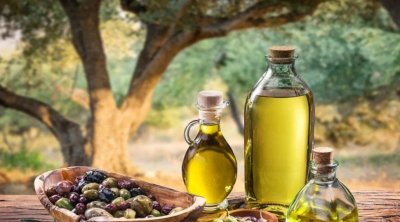 إجراءات جديدة لدعم موسم زيت الزيتون