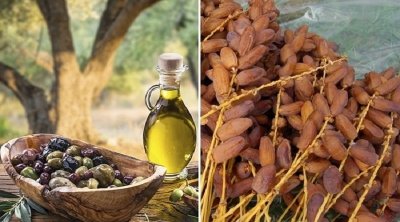 مفتي الجمهورية يعلن عن زكاة الزيتون والتمر 