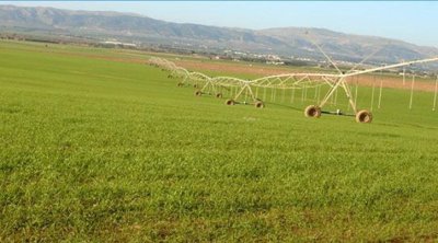 البنك التونسي للتضامن يخصص بـ90 مليون دينار لتمويل المواسم الفلاحية