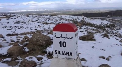 تخصيص مساعدات إجتماعية لأكثر من ألف عائلة بسليانة