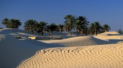 قبلي: 160 ألف سائح زاروا الجهة منذ بداية السنة