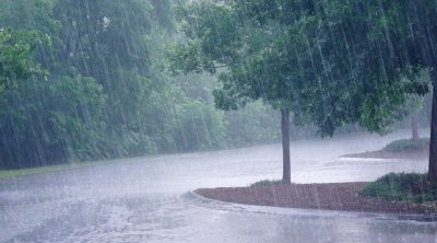 Tunisie : Pluies attendues sur plusieurs régions