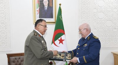 تونس و الجزائر تعززان التعاون العسكري (فيديو)