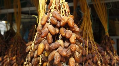 صابة قياسية للتمور هذا الموسم بنحو 400 ألف طن