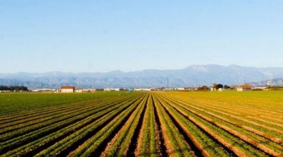 Tunisie-Pluies récentes : une saison agricole prometteuse malgré les dégâts