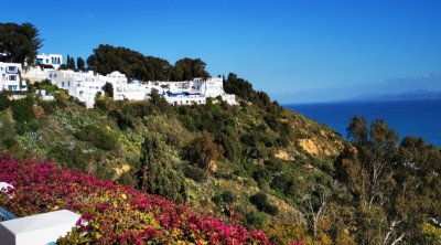 هضبة سيدي بوسعيد والبنايات الآيلة للسقوط :  قرارات عاجلة من ولاية تونس