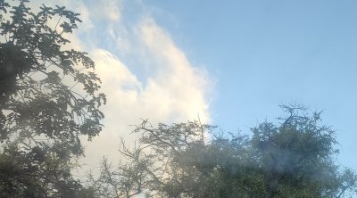 تونس : ارتفاع طفيف في درجات الحرارة وأمطار متفرقة