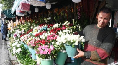 رئيس نقابة بائعي الورد يطالب بمكان مؤقت للعمل