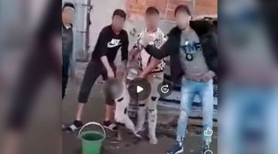 فيديو التنكيل بكلب: فتح تحقيق ضد 7 أشخاص في المنستير