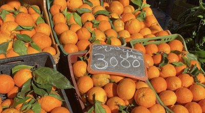 Tunisie : 689 infractions relevées au premier jour du Ramadan lors de 3 550 contrôles