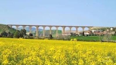 طقس ربيعي منتظر اليوم في تونس