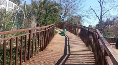 بالصور : حديقة الحيوانات بالبلفدير تتجدد بحلّة جديدة