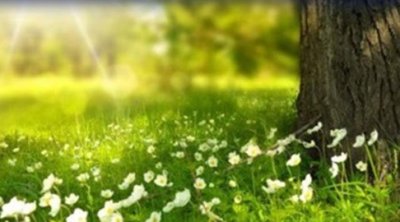 تونس : ارتفاع طفيف في درجات الحرارة