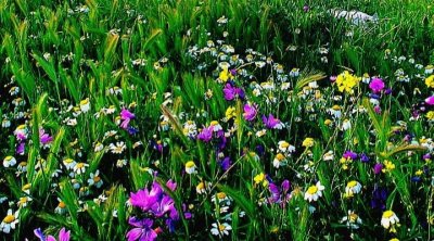 تونس : ارتفاع طفيف في درجات الحرارة