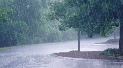 تونس : أمطار رعدية وغزيرة اليوم