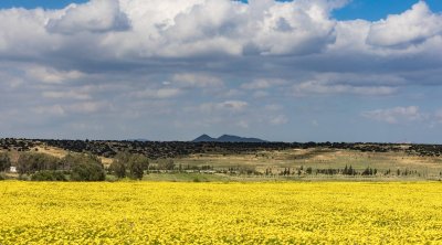 تونس : درجات الحرارة مستقرة اليوم