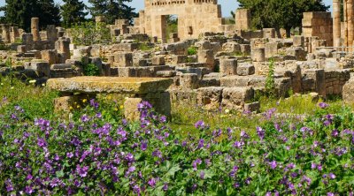 تونس : ارتفاع درجات الحرارة اليوم 