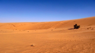 بن قردان: حادثة إطلاق النار على سيارة تسفر عن وفاة جزائري وإصابة 3 مغربيين