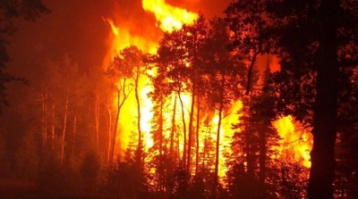 قابس : حريق يأتي على 6 هكتارات من غابة النخيل 