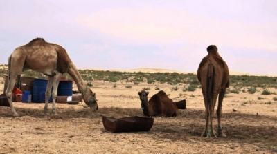 وفد من الصحفيين الإسبان في قبلي