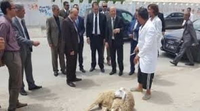 ذبح خروفا ليوسف الشاهد: إعفاء معتمد منوبة من مهامه 