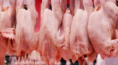 المنستير : حجز طنين من لحوم الدواجن في مذبح عشوائي 