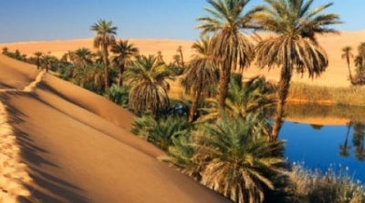 Journée de Tozeur à la Cité de la culture