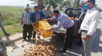  جندوبة : فلاحون يلقون كميات من البطاطا في الطريق العام