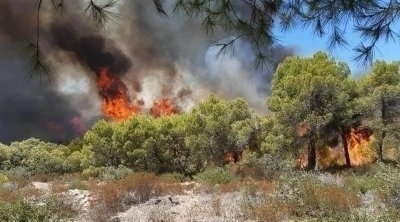 Tunisie : La protection civile intervient 114 fois en 24 heures