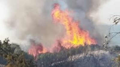 L’incendie au mont Nadhour se déclenche de nouveau