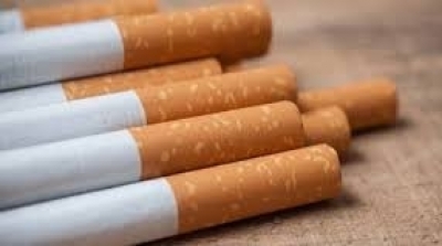 Saisie de 620 Kilogrammes de tabac à narguilé et 14 460 paquets de cigarettes