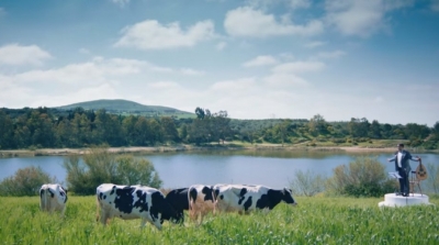 مؤسسة حقوق المؤلف تدعو إلى إيقاف ومضتين إشهاريتين شوهتا الأغنية التونسية