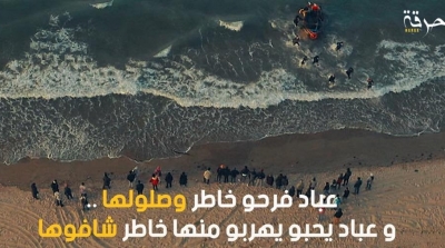 مسلسل 'حرقة' يتوج بلقب أفضل دراما رمضانية 