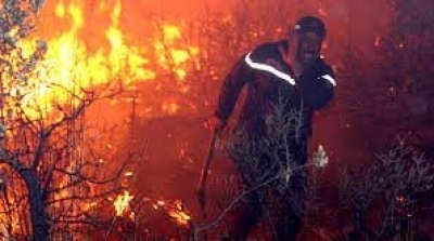 Plus de 40 morts dans des incendies en Kabylie