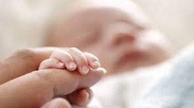 Le SNJT demande au gouvernement de clarifier sa vision pour le secteur médiatique